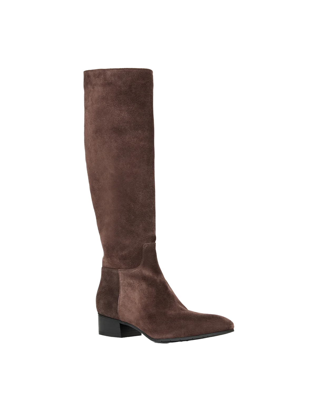 Aquatalia Fuoco Tall Knee High Boot